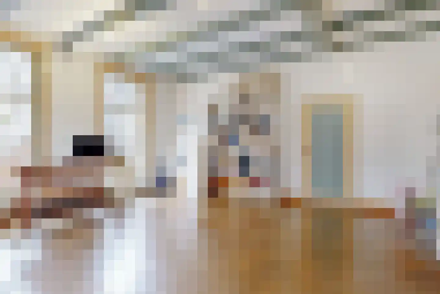 Nieuwe Rijn 3 Leiden thumbnail 38