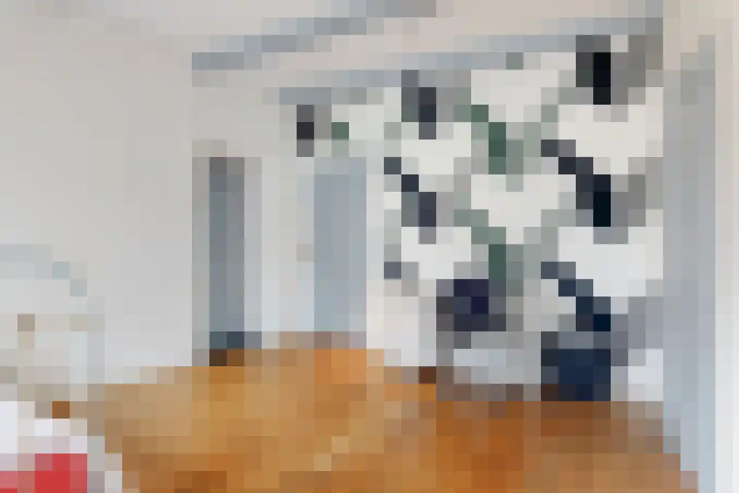 Nieuwe Rijn 3 Leiden thumbnail 41
