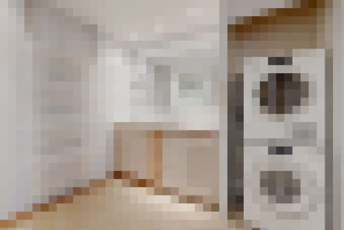 Nieuwe Rijn 3 Leiden thumbnail 44