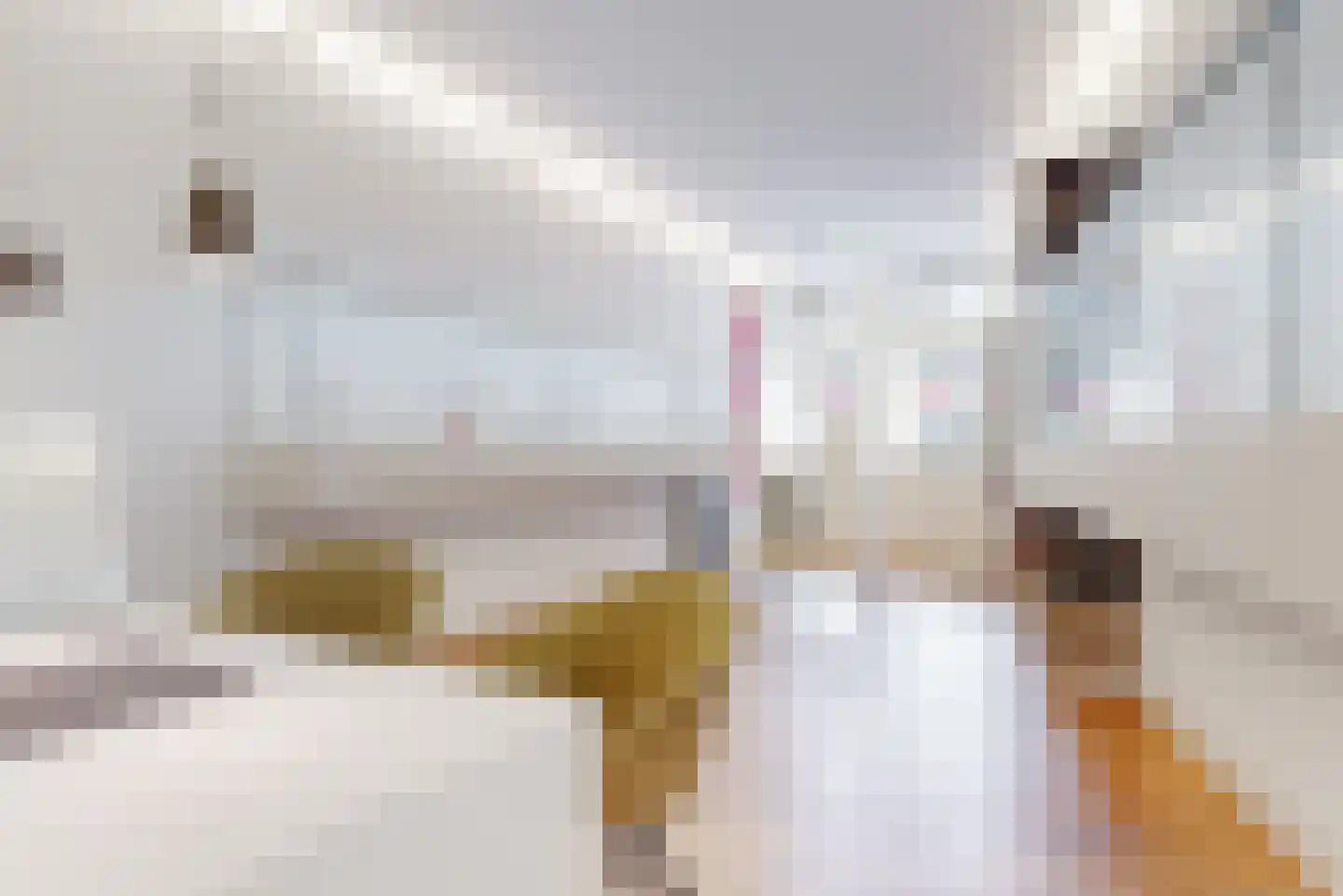 Nieuwe Rijn 3 Leiden thumbnail 7