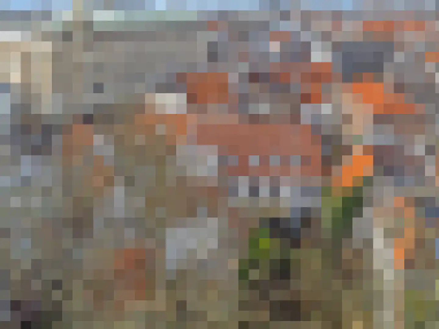 Nieuwe Rijn 3 Leiden thumbnail 81