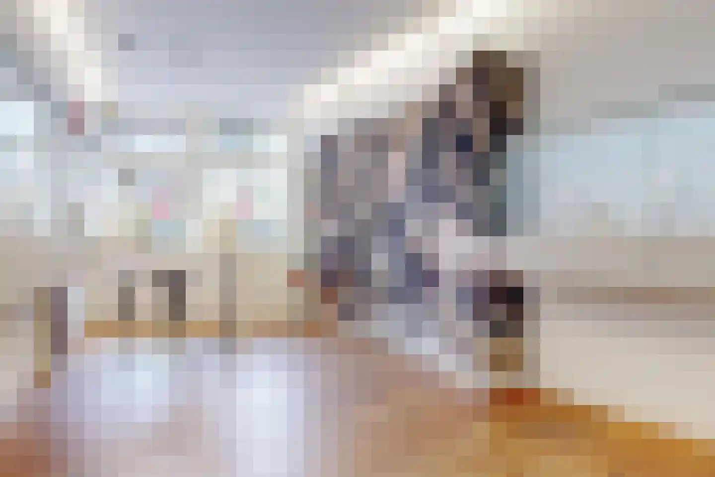 Nieuwe Rijn 3 Leiden thumbnail 9