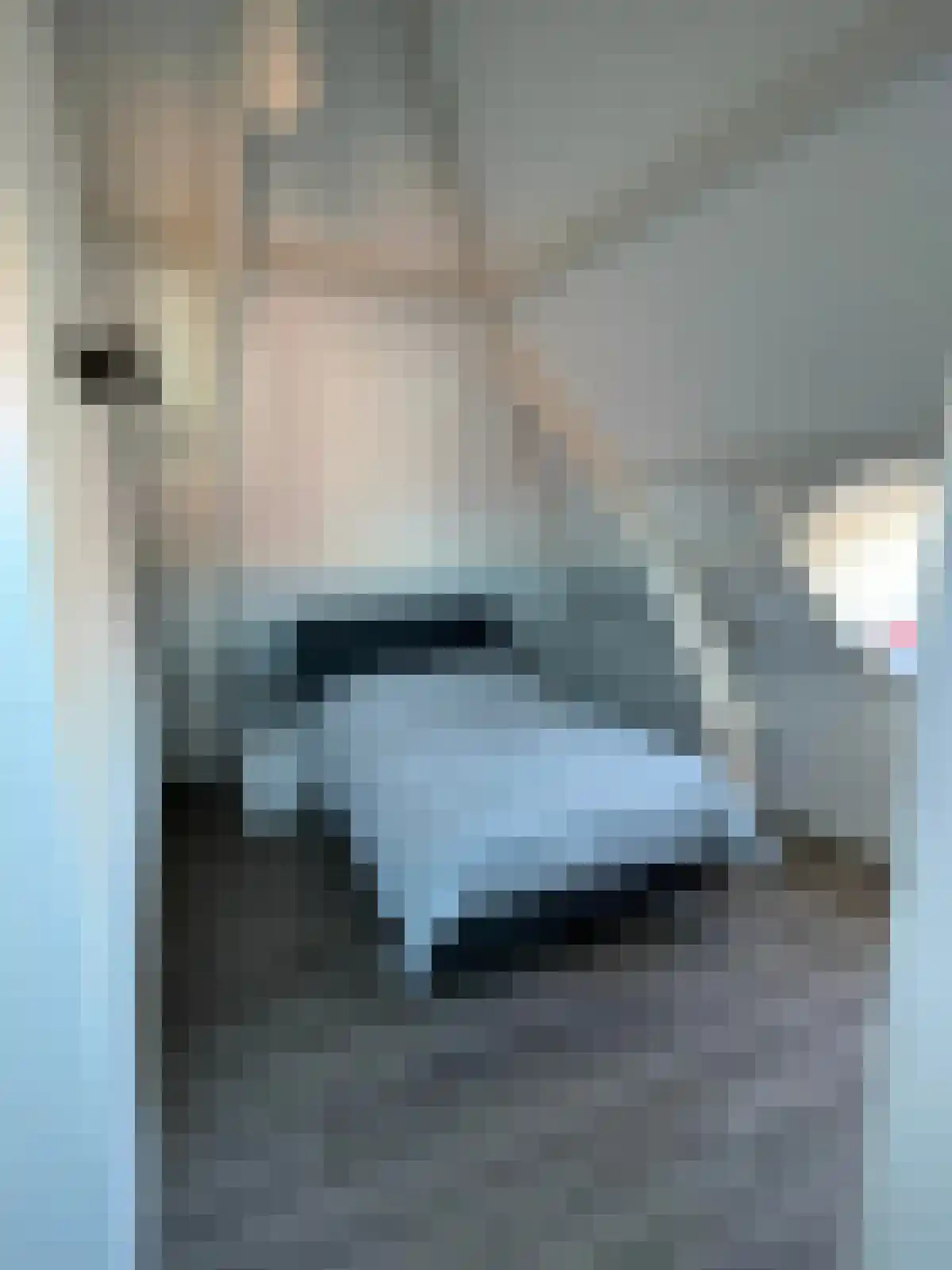 Nieuwe Rijn 45 Leiden thumbnail 4