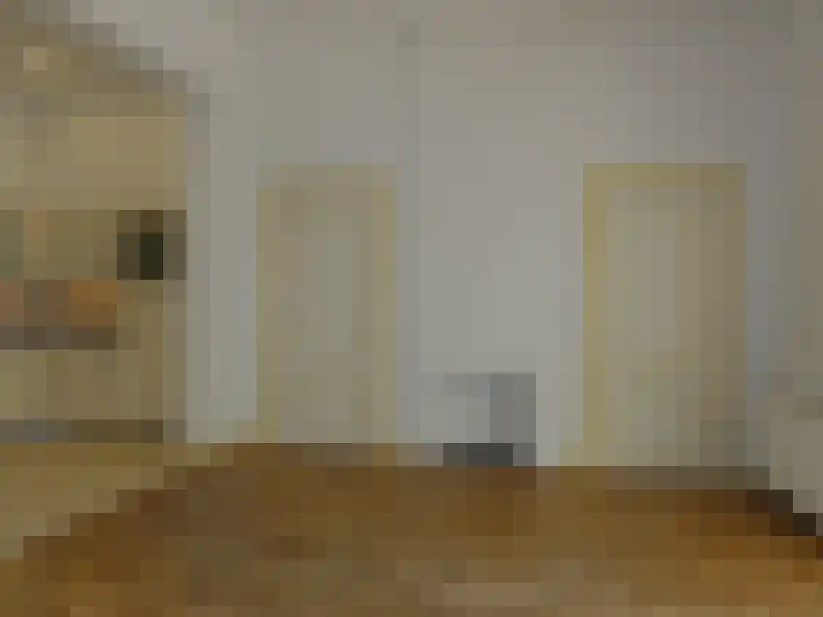 Nieuwe Rijn 8 Leiden thumbnail 6
