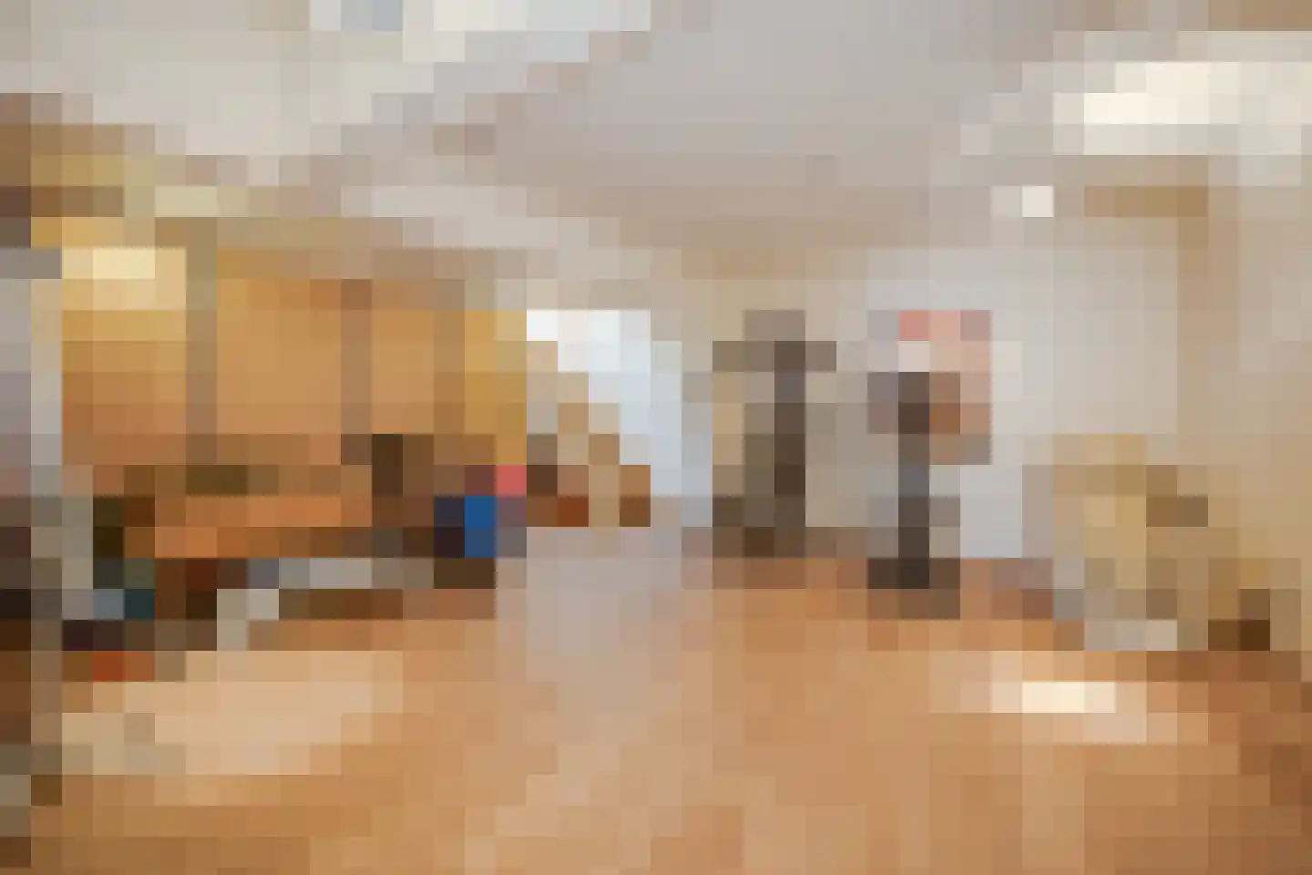 Nieuwe Rijn 98 Leiden thumbnail 13