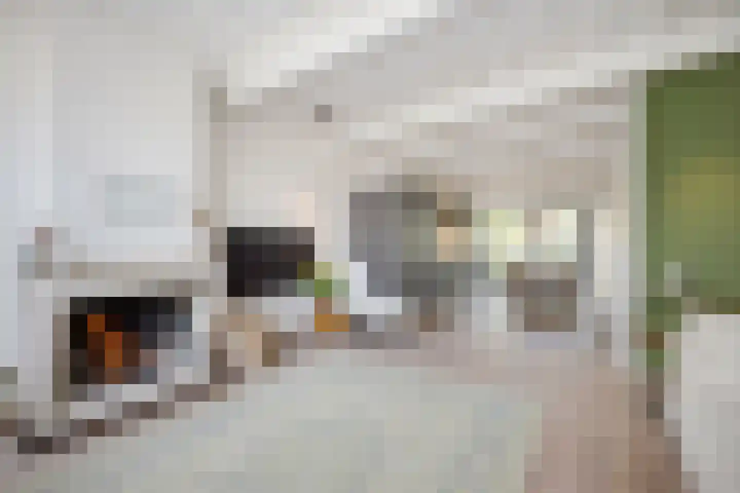 Nieuwe Rijn 98 Leiden thumbnail 18
