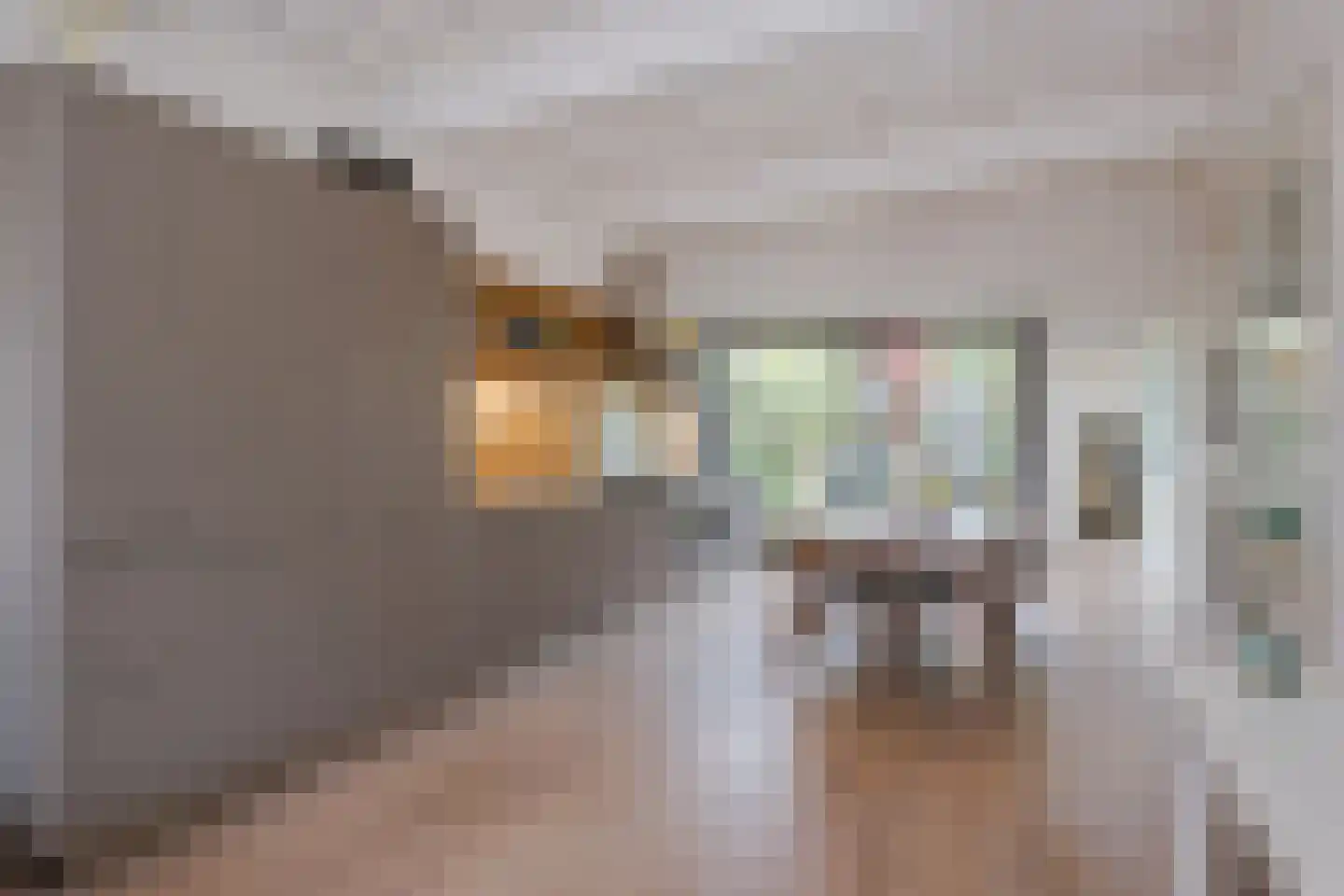 Nieuwe Rijn 98 Leiden thumbnail 20