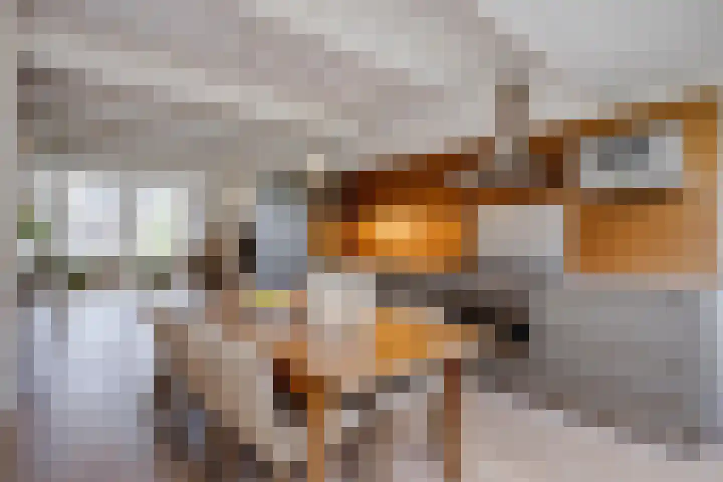 Nieuwe Rijn 98 Leiden thumbnail 22