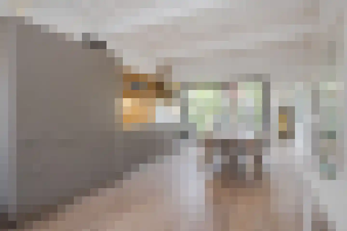 Nieuwe Rijn 98 Leiden thumbnail 23