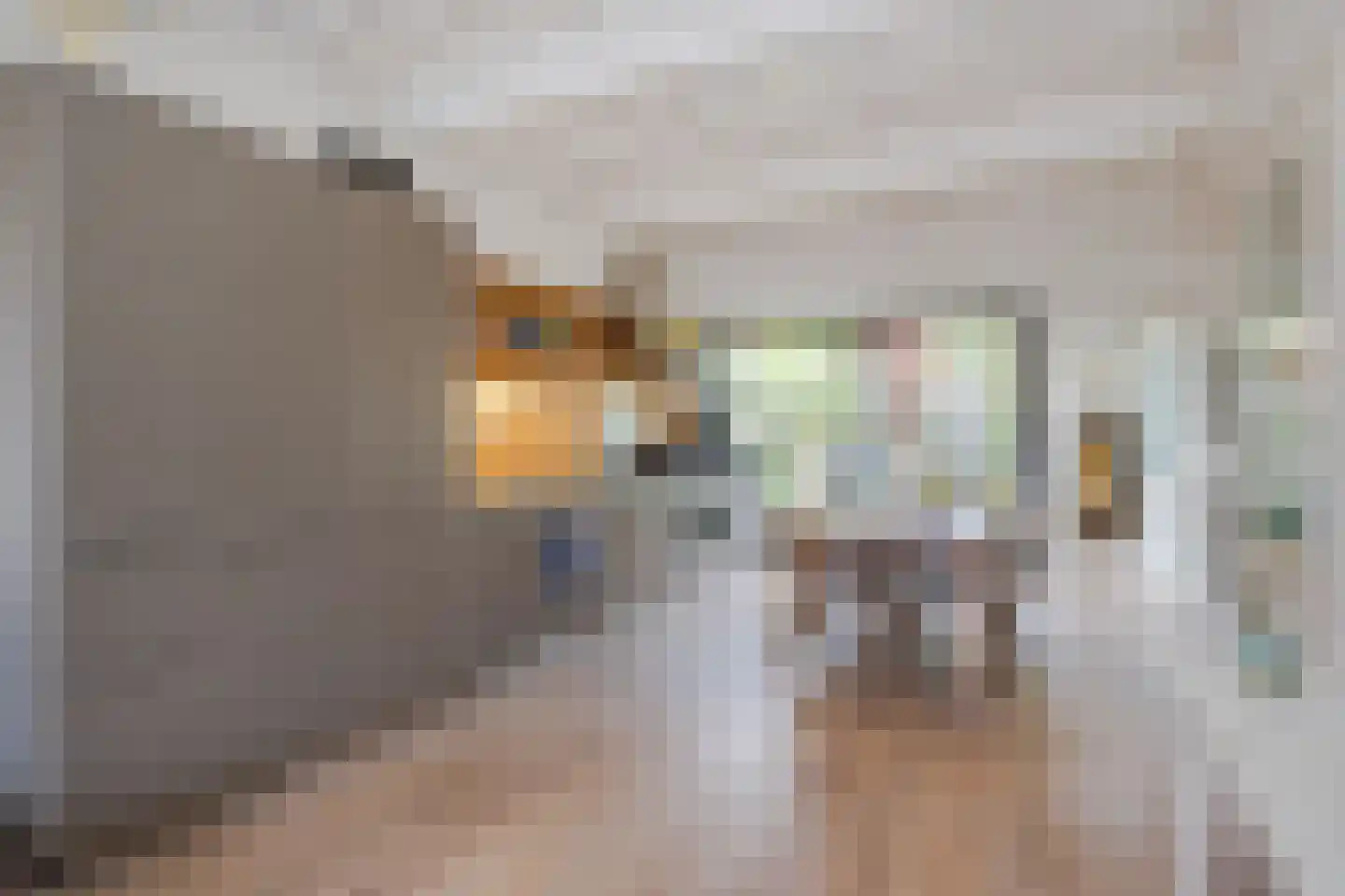Nieuwe Rijn 98 Leiden thumbnail 24
