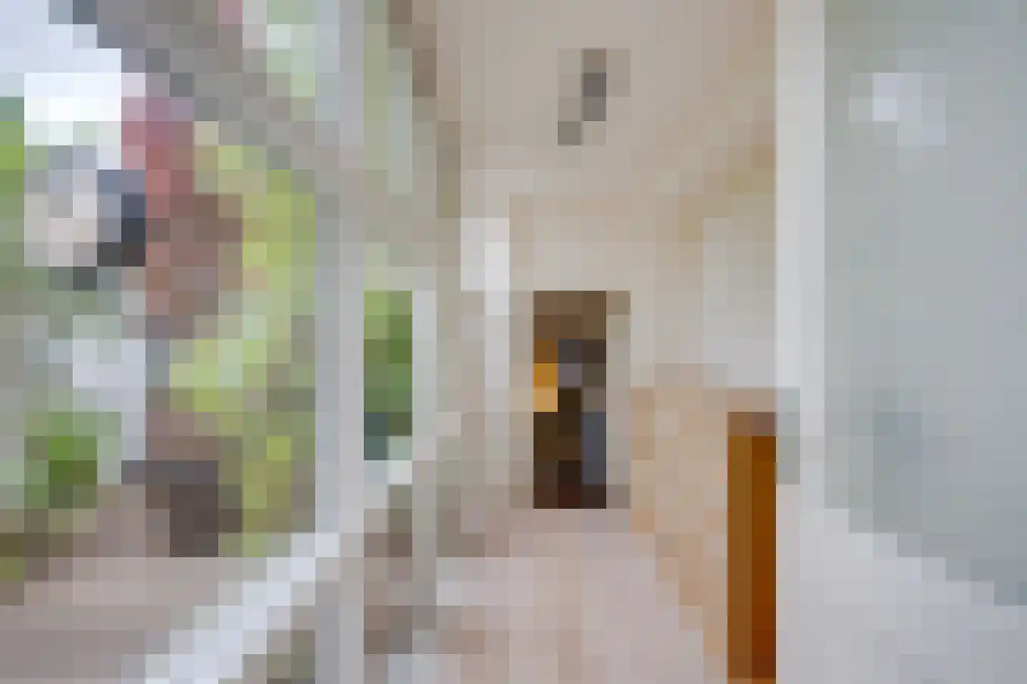 Nieuwe Rijn 98 Leiden thumbnail 26