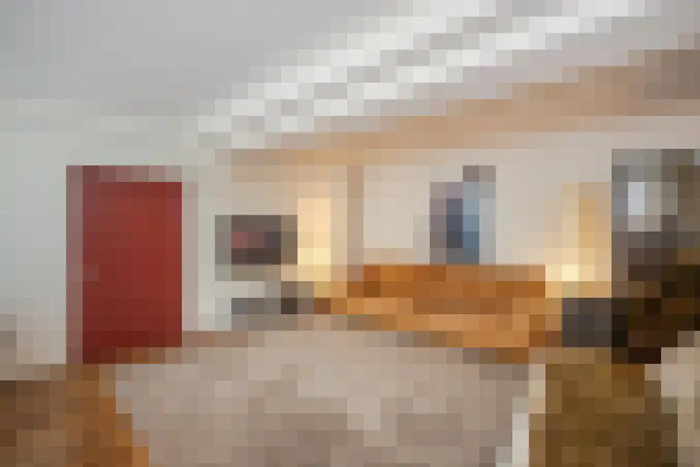 Nieuwe Rijn 98 Leiden thumbnail 27