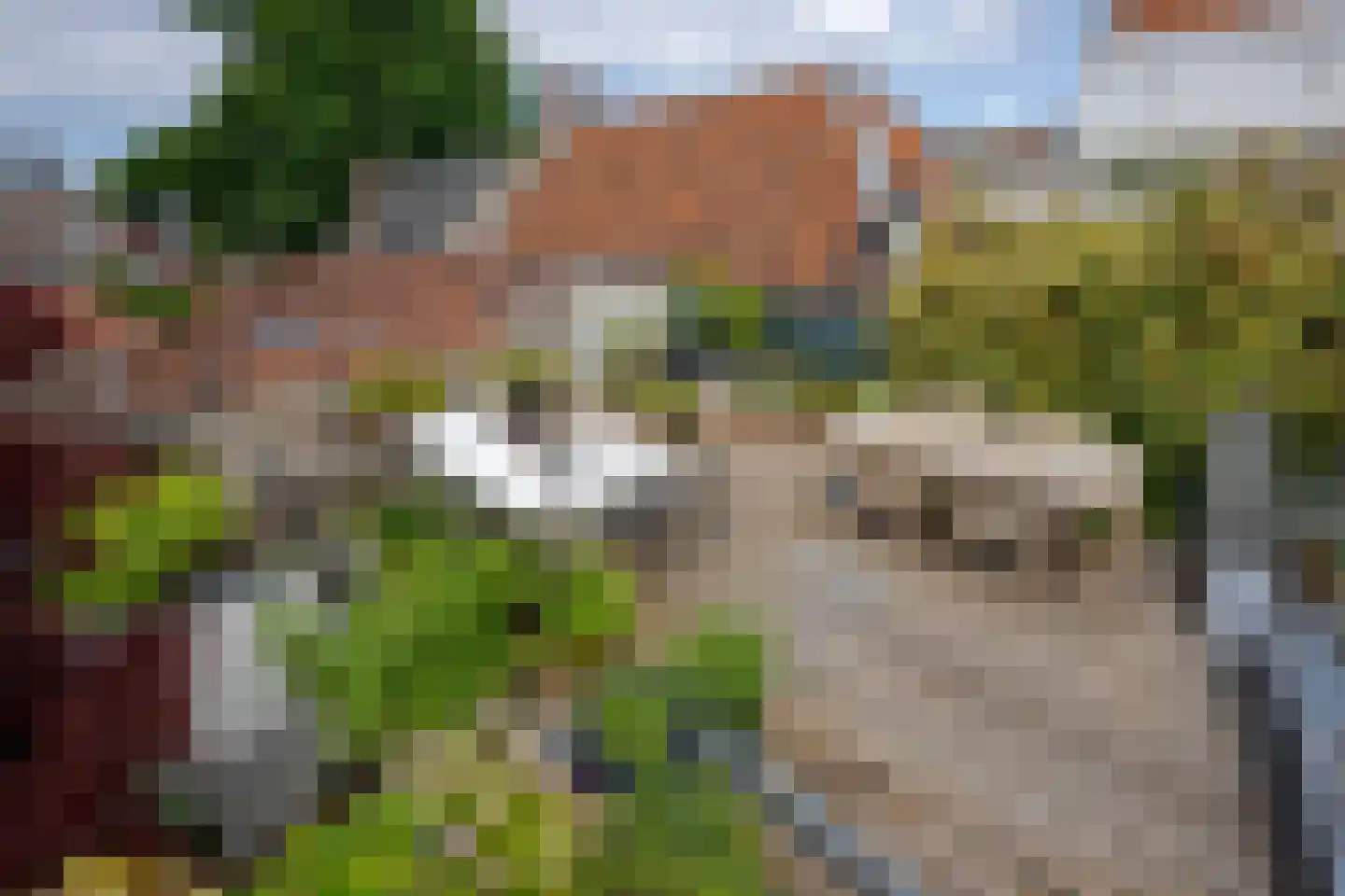 Nieuwe Rijn 98 Leiden foto 3