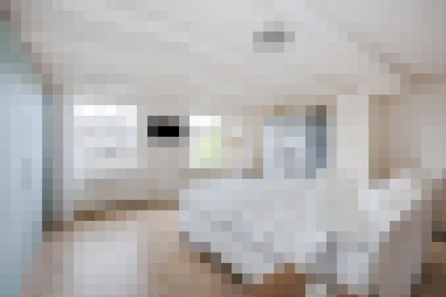 Nieuwe Rijn 98 Leiden thumbnail 30