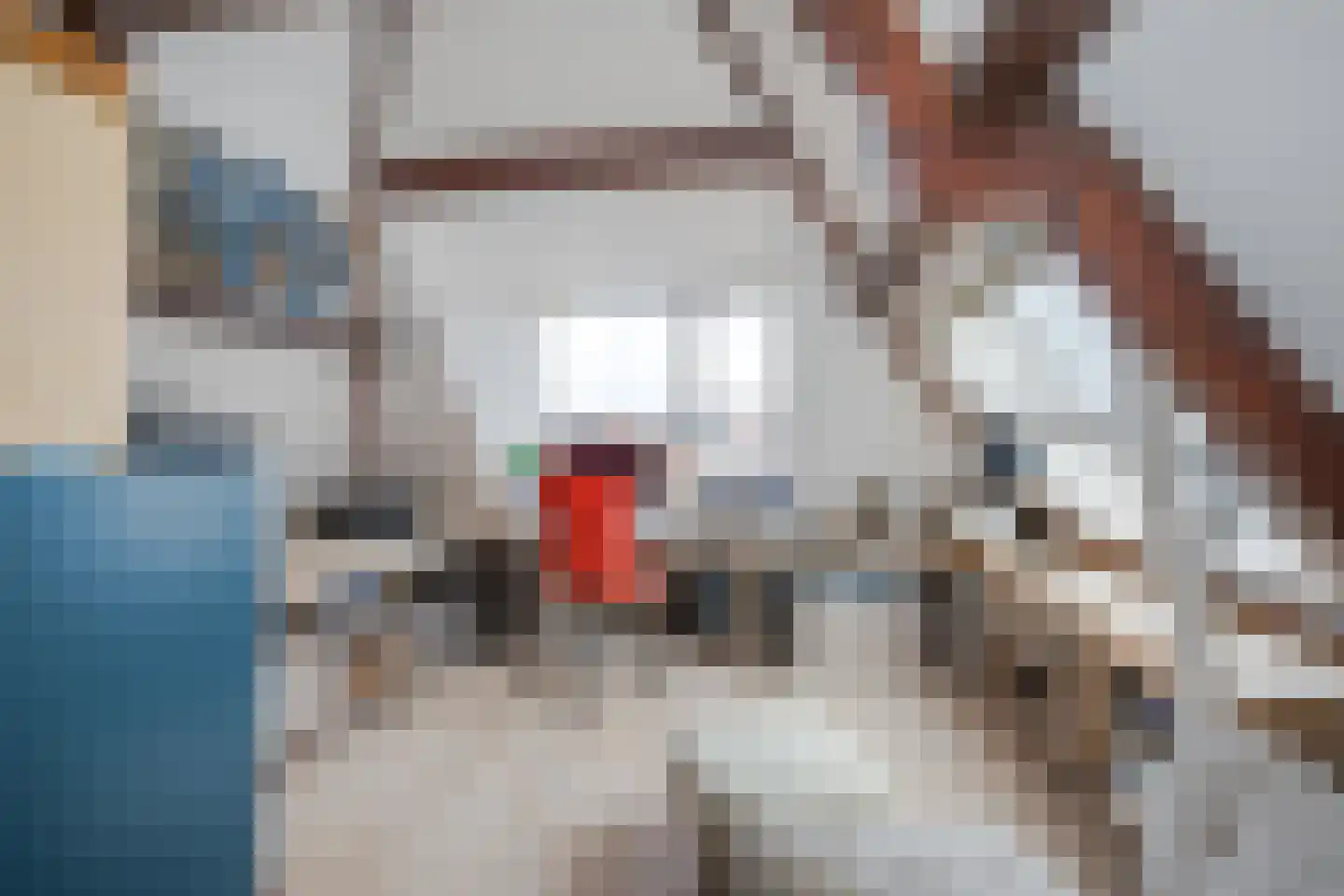 Nieuwe Rijn 98 Leiden thumbnail 34