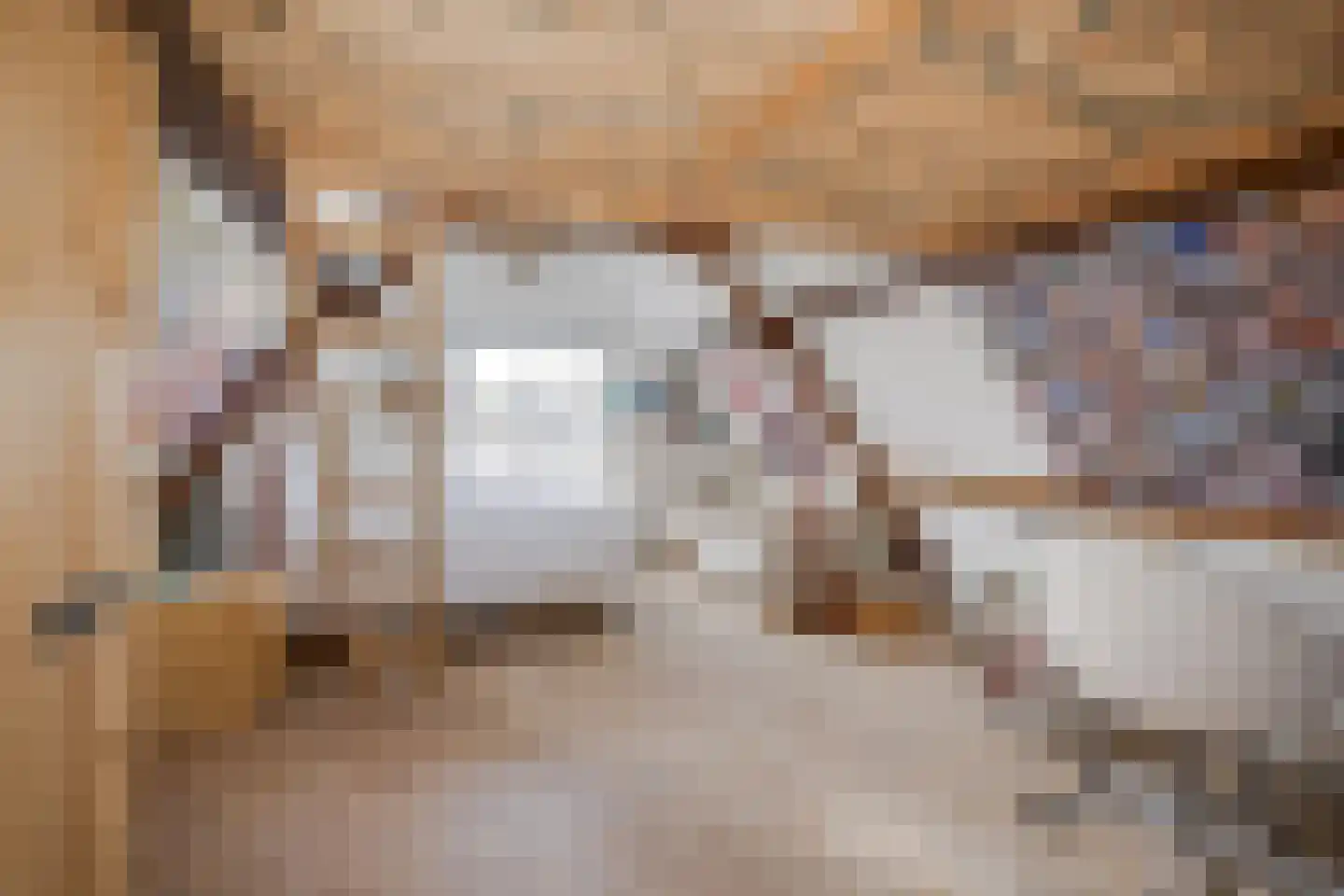 Nieuwe Rijn 98 Leiden thumbnail 35