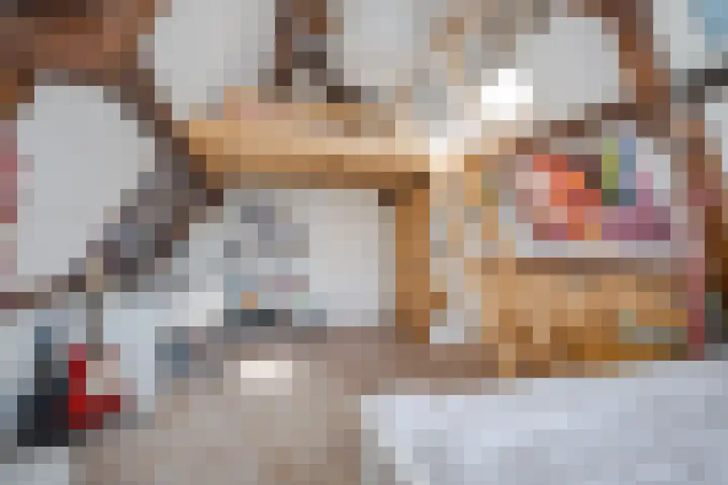 Nieuwe Rijn 98 Leiden thumbnail 36