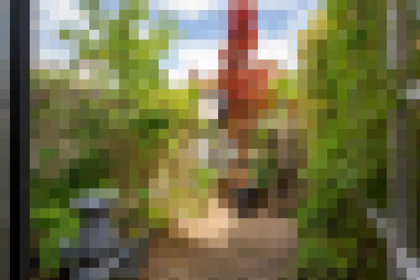 Nieuwe Rijn 98 Leiden thumbnail 38