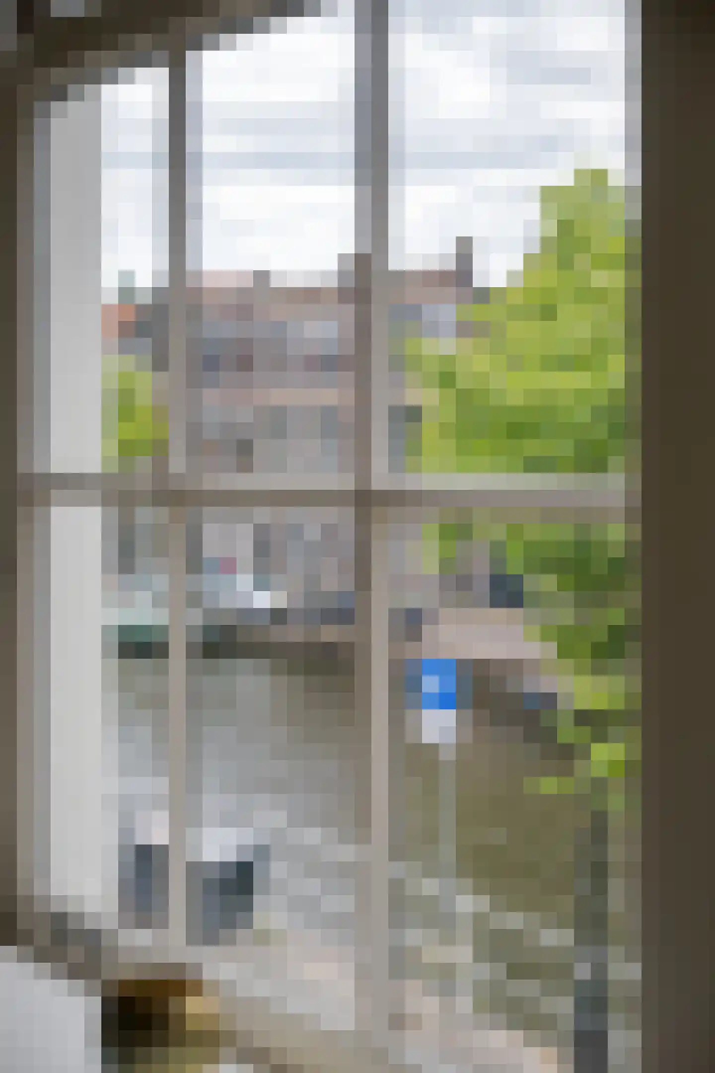 Nieuwe Rijn 98 Leiden thumbnail 4