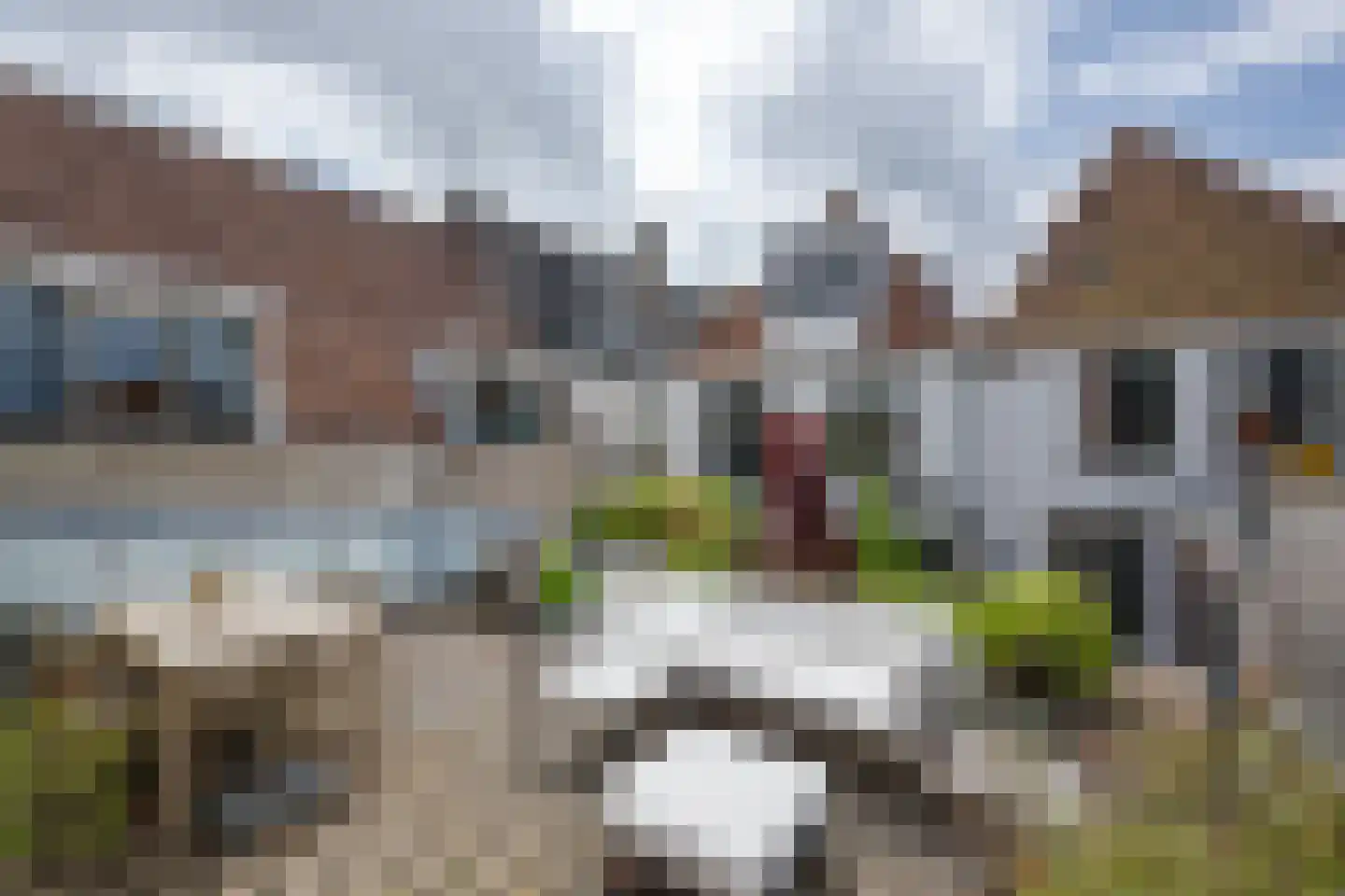 Nieuwe Rijn 98 Leiden thumbnail 40