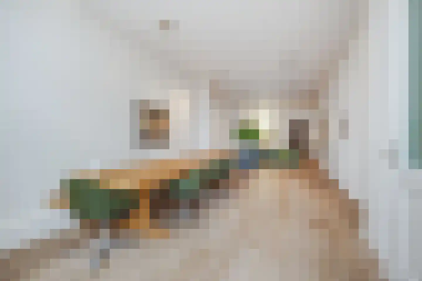 Nieuwe Rijn 98 Leiden thumbnail 9