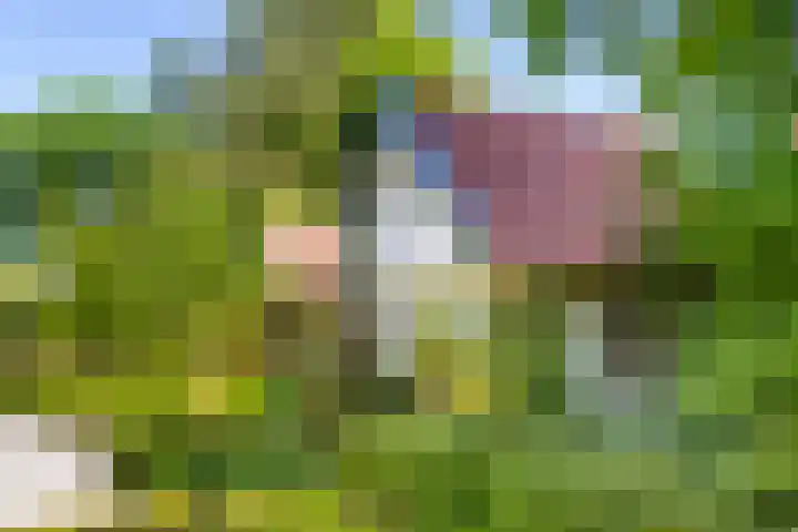 Nieuwe 's-Gravelandseweg 17 Bussum thumbnail 21
