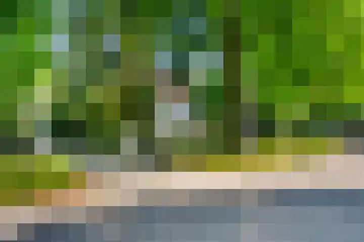 Nieuwe 's-Gravelandseweg 17 Bussum thumbnail 33