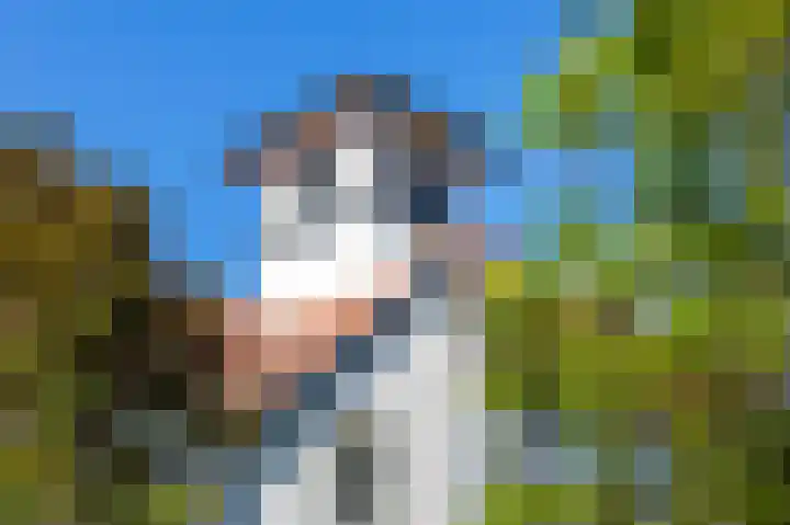 Nieuwe 's-Gravelandseweg 17 Bussum thumbnail 4
