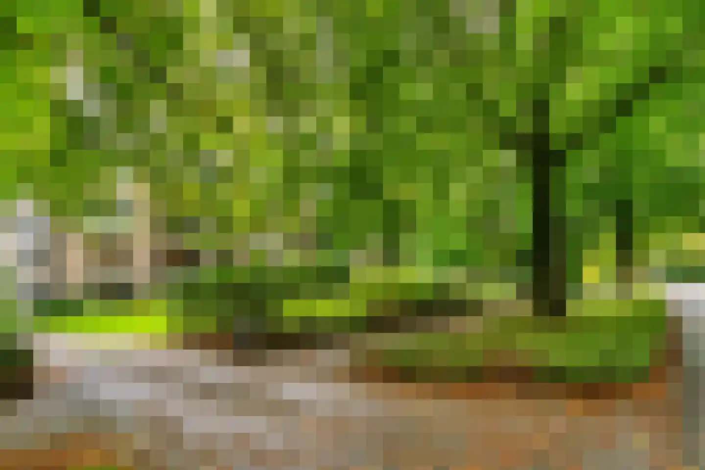Nieuwe 's-Gravelandseweg 19 C Bussum thumbnail 36