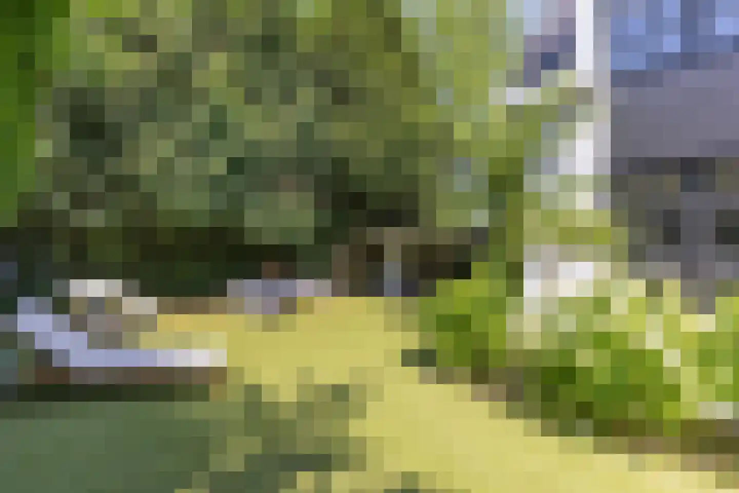 Nieuwe 's-Gravelandseweg 25 Bussum thumbnail 34