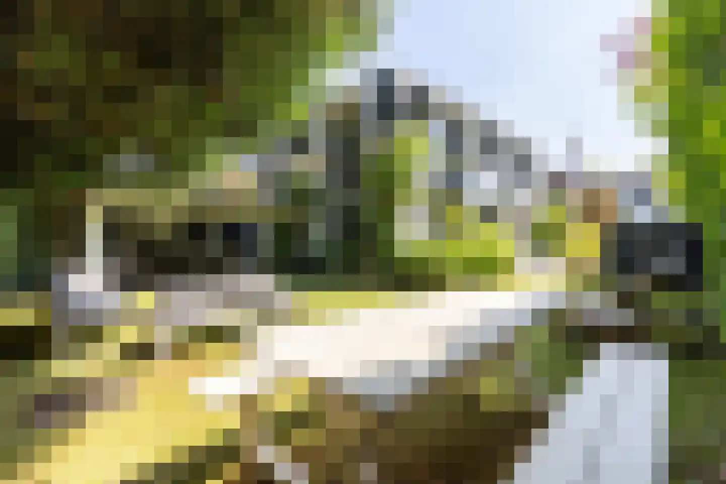 Nieuwe 's-Gravelandseweg 25 Bussum thumbnail 35