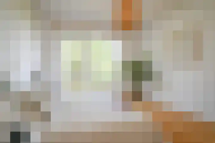 Nieuwe 's-Gravelandseweg 4 B Bussum thumbnail 11