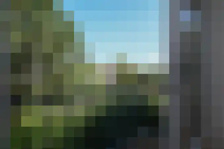 Nieuwe 's-Gravelandseweg 4 B Bussum thumbnail 12