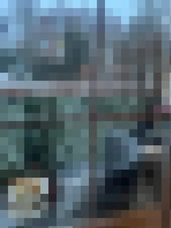 Nieuwe 's-Gravelandseweg 4 Bussum thumbnail 13