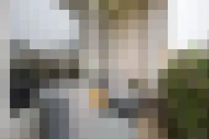 Nieuwe 's-Gravelandseweg 4 Bussum thumbnail 14