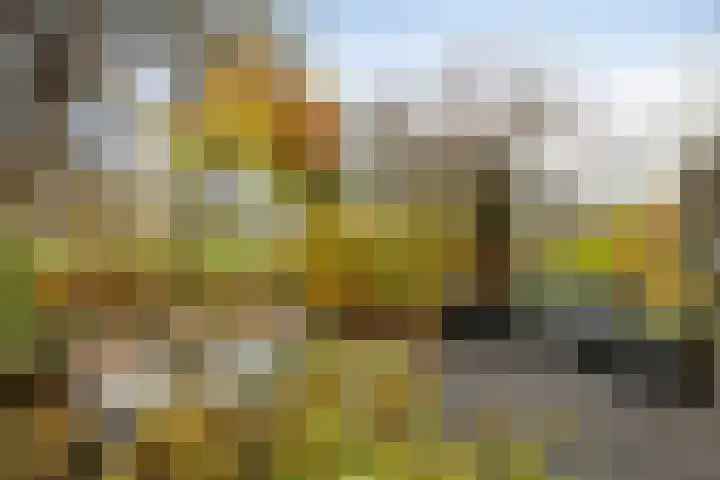 Nieuwe 's-Gravelandseweg 4 Bussum thumbnail 30