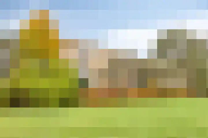 Nieuwe 's-Gravelandseweg 4 Bussum thumbnail 34