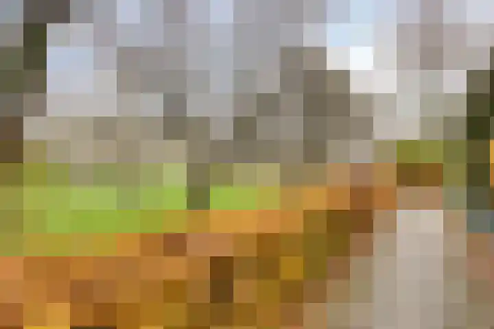 Nieuwe 's-Gravelandseweg 4 Bussum thumbnail 35