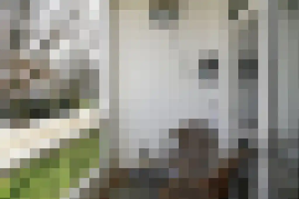 Nieuwe 's-Gravelandseweg 44 A Bussum thumbnail 9