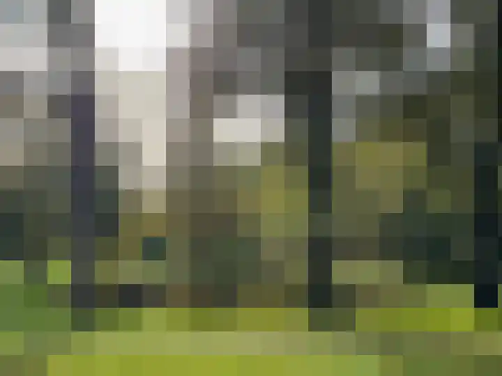 Nieuwe 's-Gravelandseweg 45 A Bussum thumbnail 20