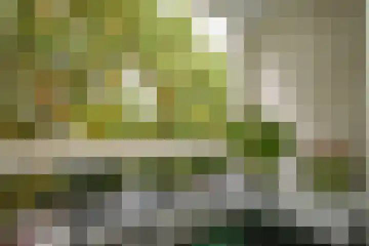 Nieuwe 's-Gravelandseweg 48 B Bussum thumbnail 11