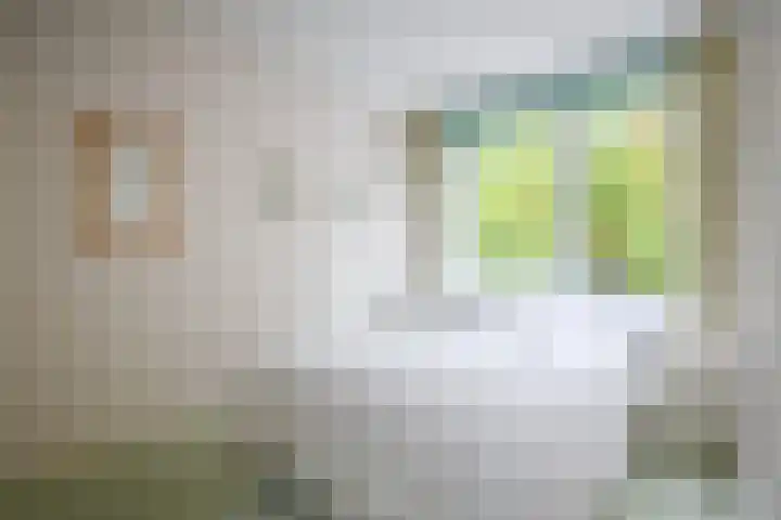 Nieuwe 's-Gravelandseweg 48 B Bussum thumbnail 15