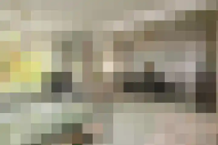 Nieuwe 's-Gravelandseweg 48 B Bussum thumbnail 5