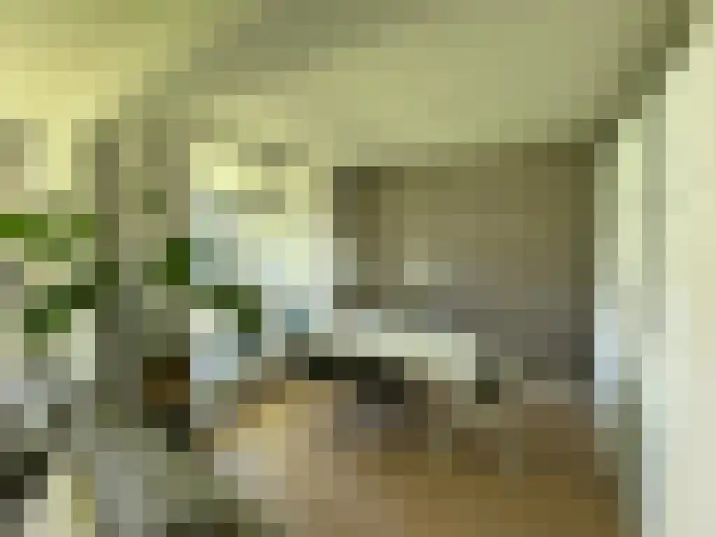 Nieuwe 's-Gravelandseweg 48 Bussum thumbnail 5