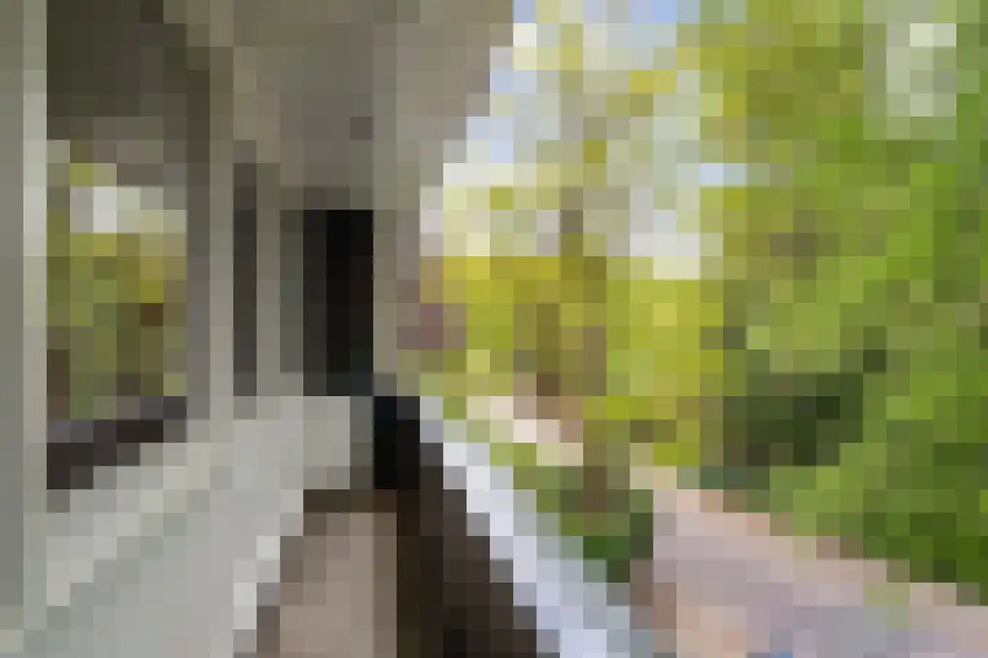 Nieuwe 's-Gravelandseweg 64 A Bussum thumbnail 60