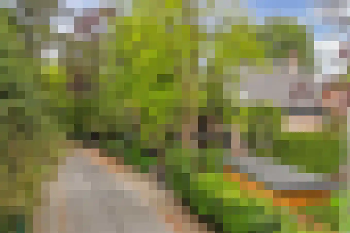 Nieuwe 's-Gravelandseweg 64 A Bussum thumbnail 7