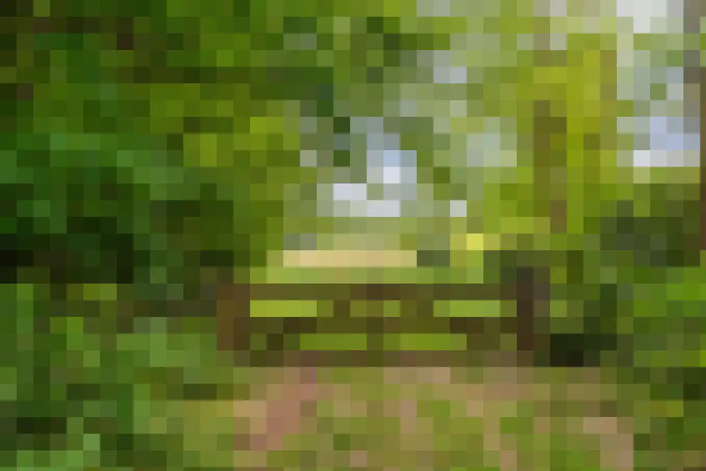 Nieuwe 's-Gravelandseweg 64 A Bussum thumbnail 72