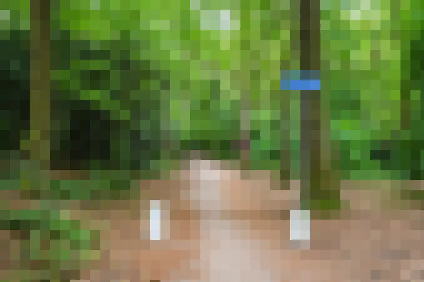 Nieuwe 's-Gravelandseweg 64 A Bussum thumbnail 74
