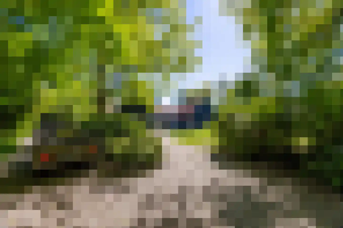 Nieuwe 's-Gravelandseweg 81 Bussum thumbnail 30