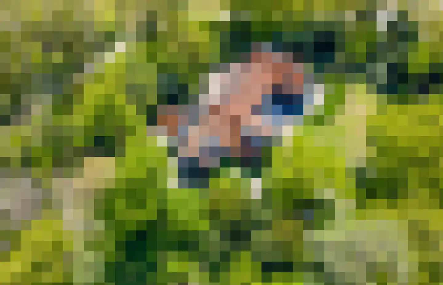 Nieuwe 's-Gravelandseweg 81 Bussum thumbnail 35